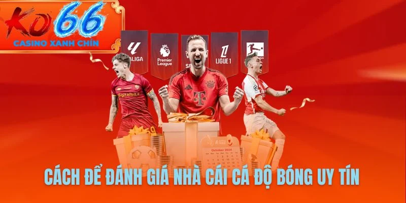 Cách để đánh giá nhà cái cá độ bóng uy tín từ chuyên gia