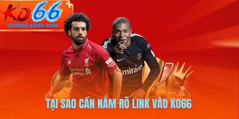Tại sao cần nắm rõ link vào KO66