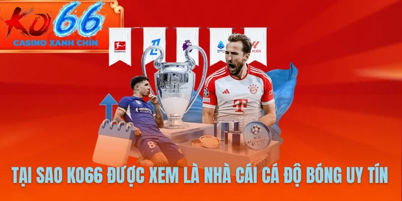 Tại sao KO66 được xem là Nhà cái cá độ bóng uy tín